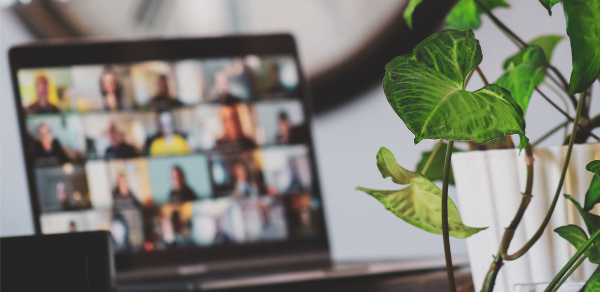 Close up of a green houseplant on a table with a blurred laptop featuring faces in a Zoom call screen in the background